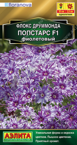 Флокс друммонда «Попстарс F1»