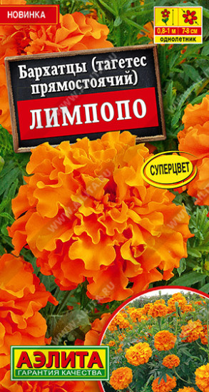 Бархатцы «Лимпопо»