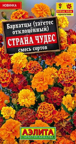 Бархатцы «Страна чудес»