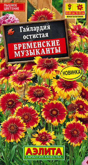 Гайлардия «Бременские музыканты»