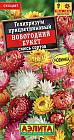 Гелихризиум «Новогодний букет»