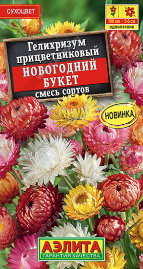 Гелихризиум «Новогодний букет»