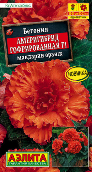 Бегония «Америгибрид гофрированная F1»