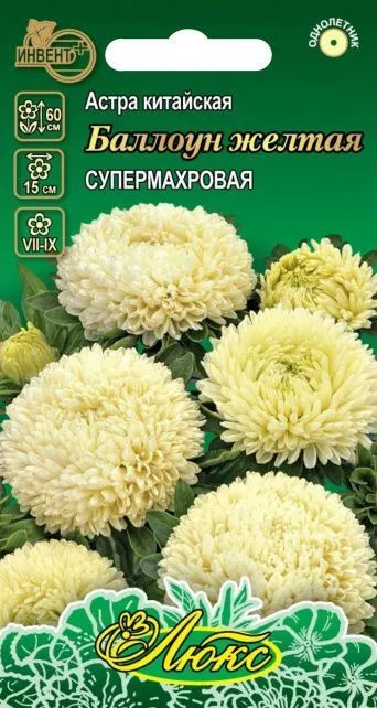 Астра китайская «Баллоун желтая» | Люкс | Инвент+
