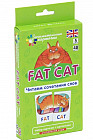 Английский язык. Толстый кот (Fat Cat). Читаем сочетания слов. Level 5. Набор карточек