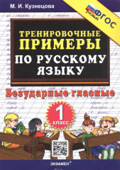 Тренировочные примеры по русскому языку