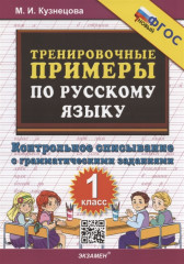 Тренировочные примеры по русскому языку
