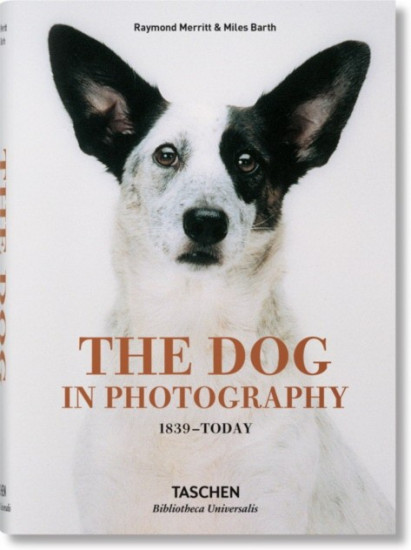 Dog in Photography 1839-Today