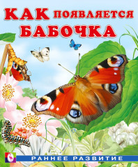 Как появляется бабочка