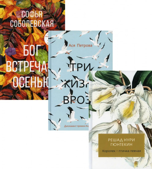 Женская проза. Комплект из 3 книг