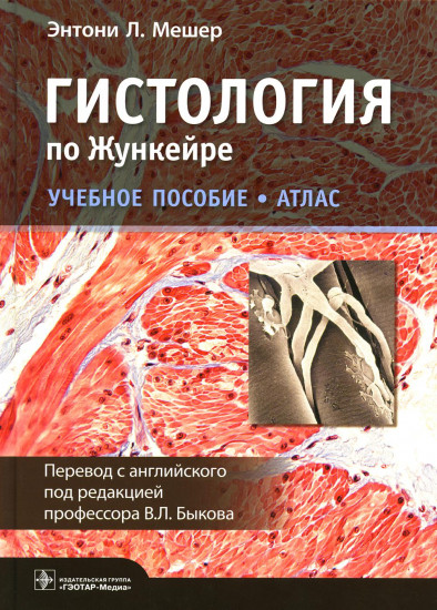 Гистология по Жункейре. Атлас