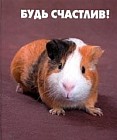 Будь счастлив!