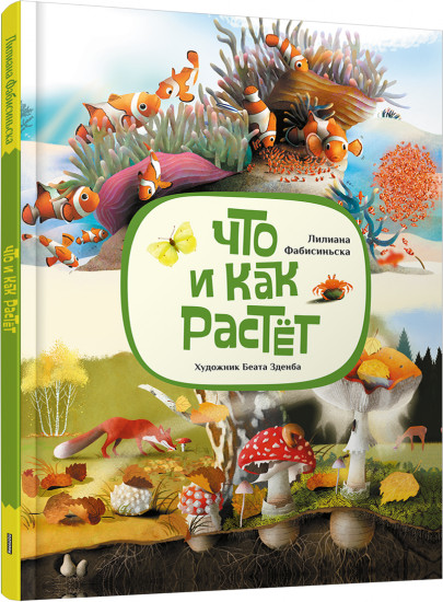 Что и как растёт