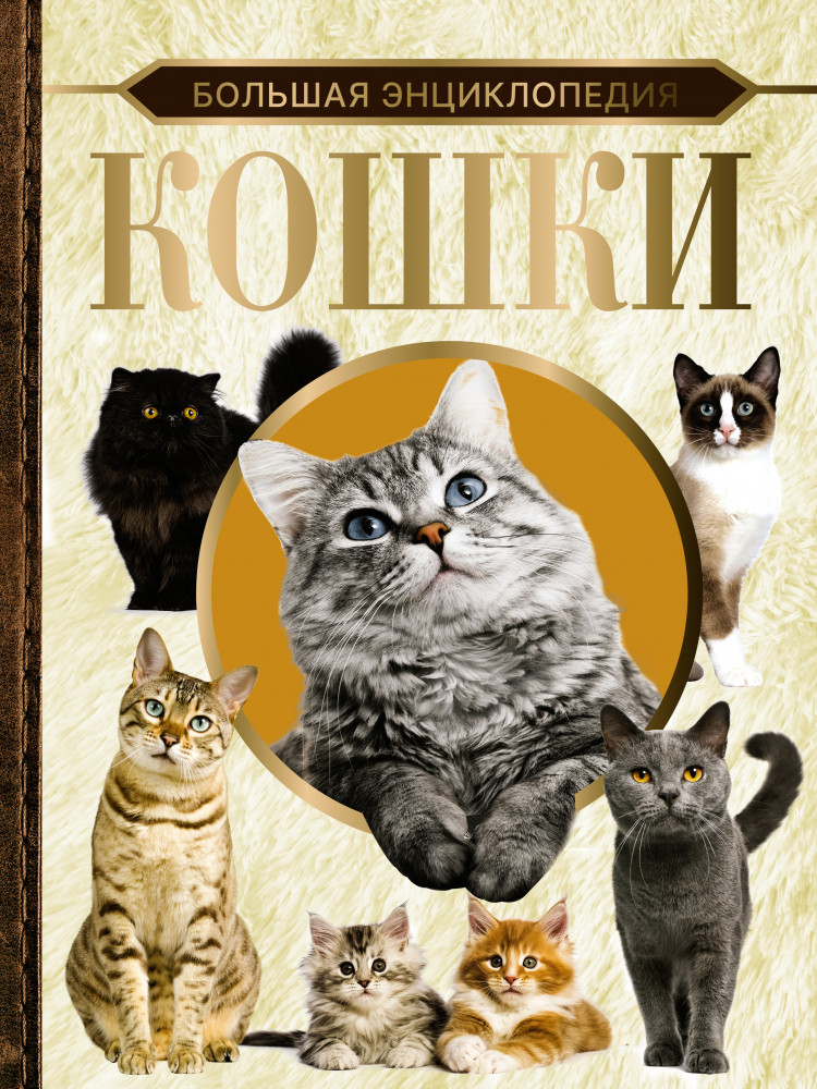 Большая энциклопедия. Кошки | Большая коллекция
