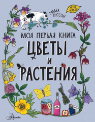 Цветы и растения