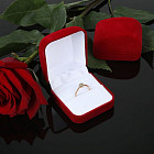 Футляр «Классический»