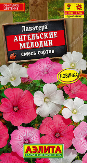 Смесь сортов лаватеры «Ангельские мелодии»