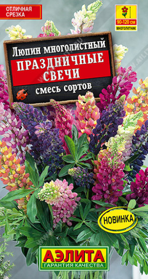 Смесь сортов люпина «Праздничные свечи»