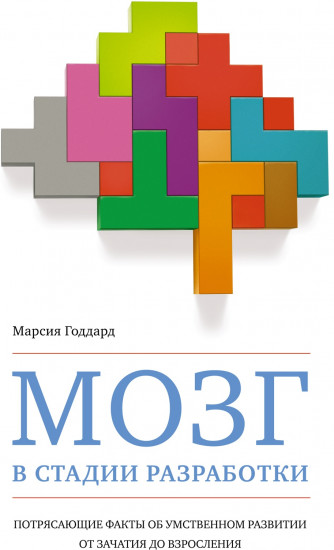 Мозг в стадии разработки