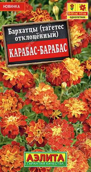Бархатцы «Карабас-Барабас»