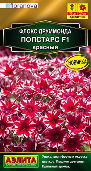 Флокс друммонда «Попстарс F1»