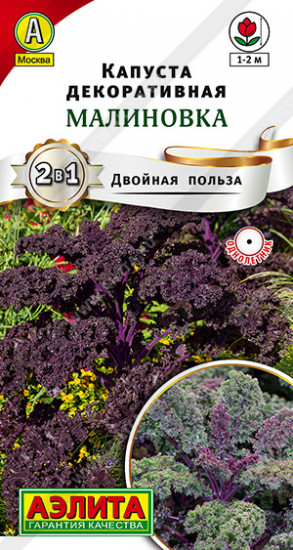 Капуста «Малиновка»