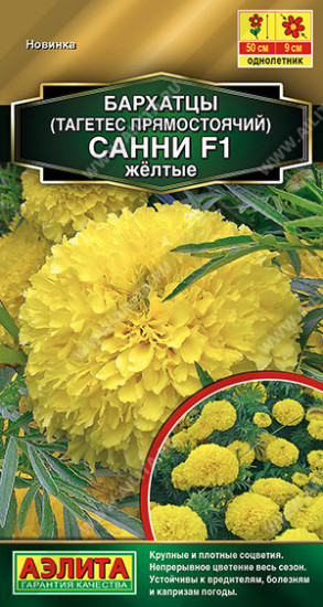 Бархатцы прямостоячие