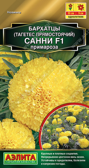 Бархатцы прямостоячие