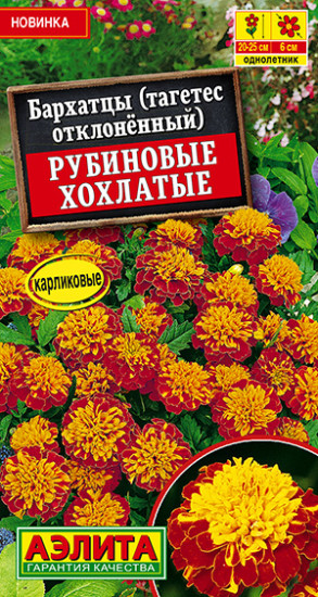 Бархатцы «Рубиновые хохлатые»