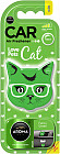 fancy green