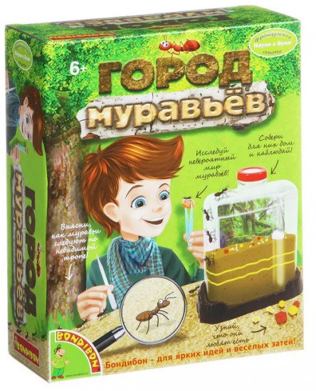 Набор для опытов «Город муравьёв»
