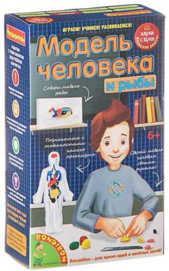 Набор для опытов «Модель человека и рыбы»