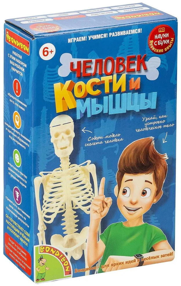 Набор для опытов «Кости и мышцы» | Японские опыты Науки с Буки | Bondibon