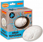 Раскопки исторические «Яйцо черепахи»