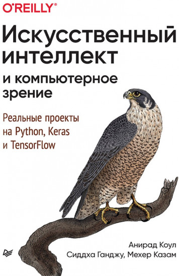 Искусственный интеллект и компьютерное зрение. Реальные проекты на Python, Keras и TensorFlow