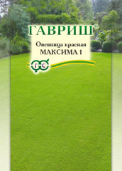 Овсяница красная «Максима 1»