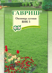 Овсяница луговая «Вик 5»