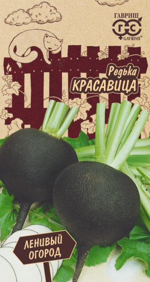 Редька «Красавица»