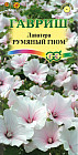 Лаватера «Румяный гном»
