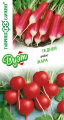 Редис «18 дней» и «Жара»