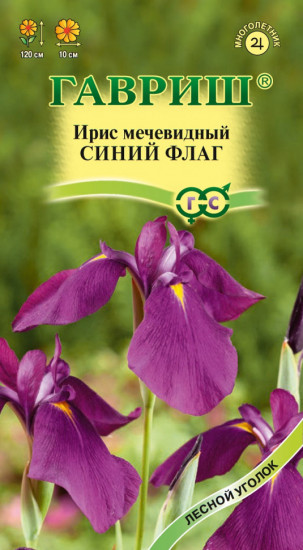 Ирис мечевидный «Синий флаг»