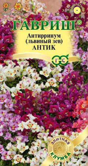 Антирринум «Антик»