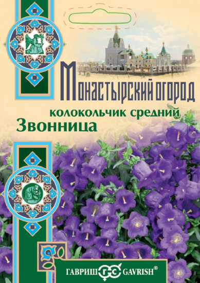 Колокольчик средний