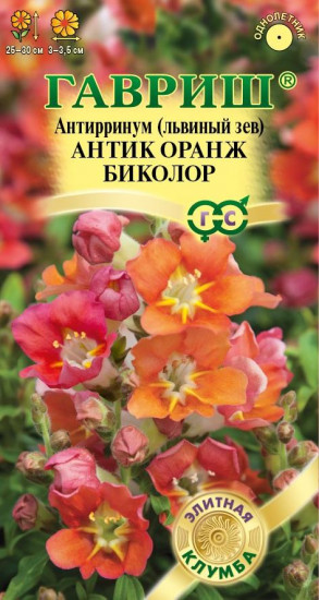 Антирринум «Оранж биколор»