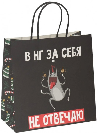 Пакет подарочный «Вообще не отвечаю»