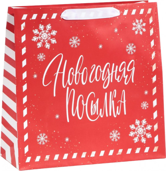 Пакет подарочный «Package»