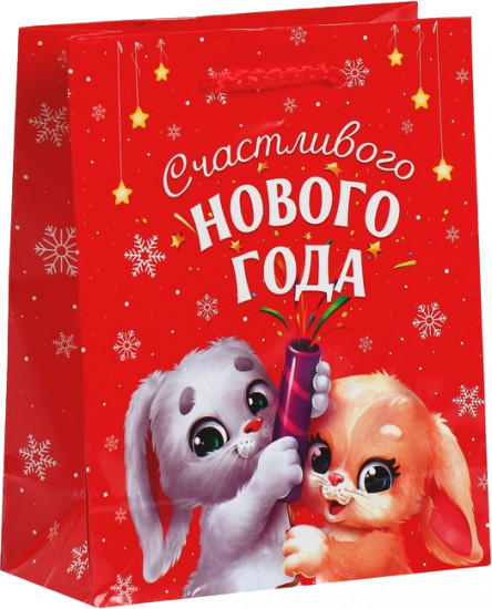 Пакет ламинированный