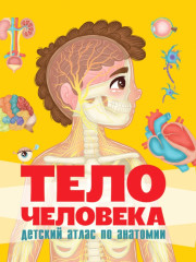 Тело человека