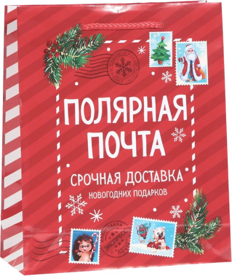 Пакет «Полярная почта»