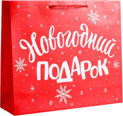 Пакет «Новогодний подарок»